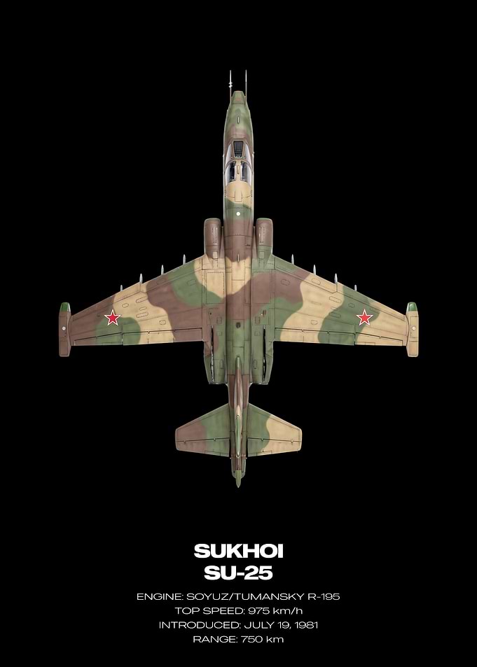Sukhoi SU-25 Top View