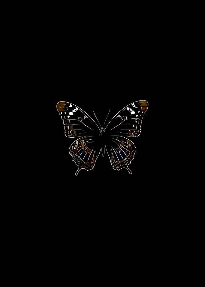 Dark Butterfly Illustration