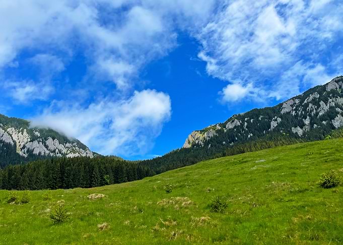 Grassy mountain slope under blue sky