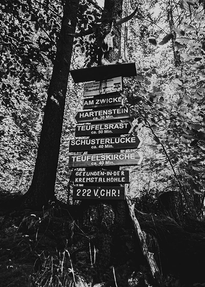 Forest Signpost with Skull