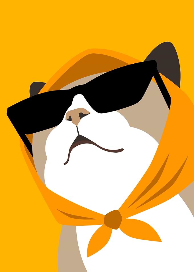 Cool Cat Wearing Sunglasses and Scarf