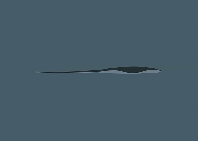 Oceanic Minimalism Stingray Navy Blue Art