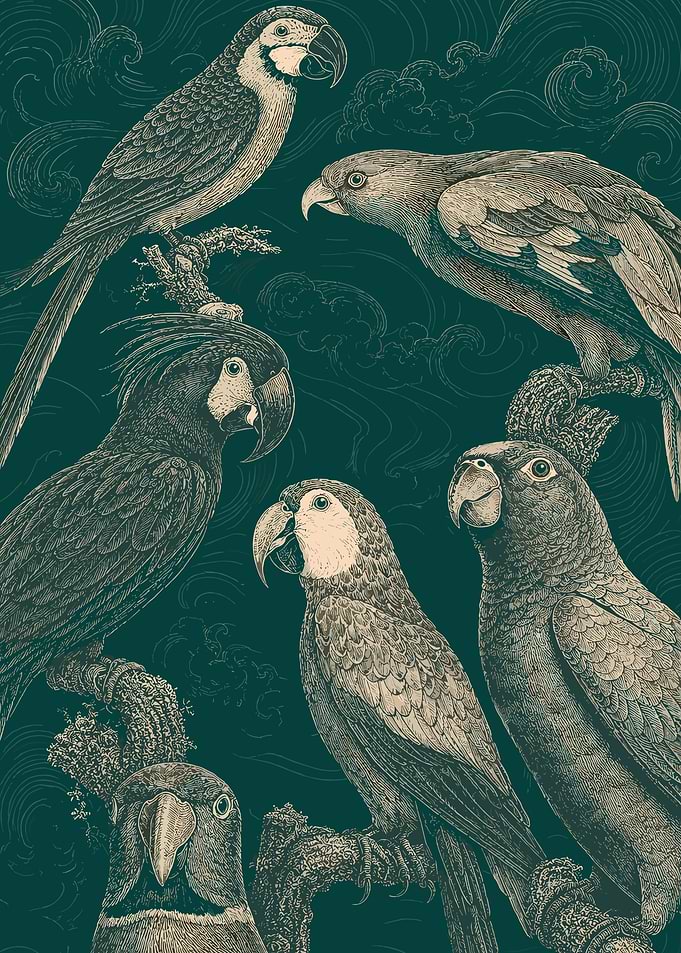 Parrots and Birds Illustration