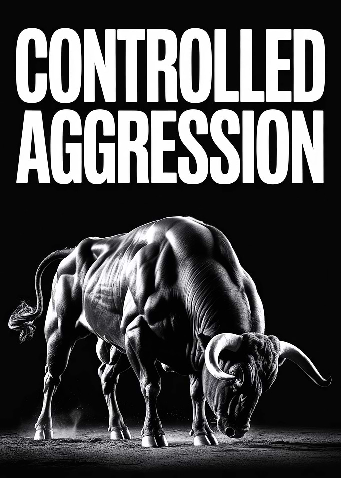Controlled Aggression Bull
