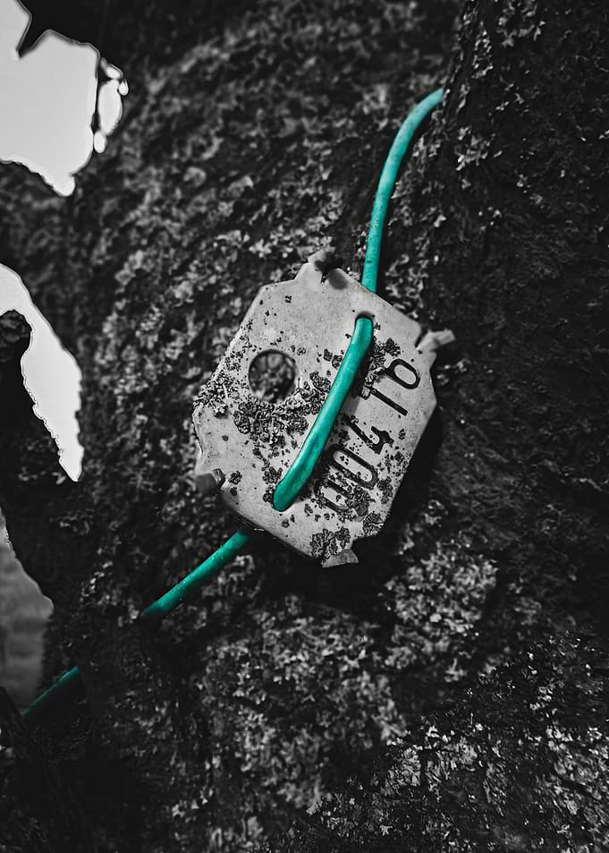 Tree Tag with Teal Wire