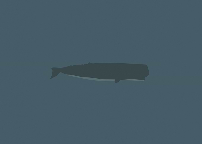 Oceanic Minimalism Sperm Whale Navy Blue Art