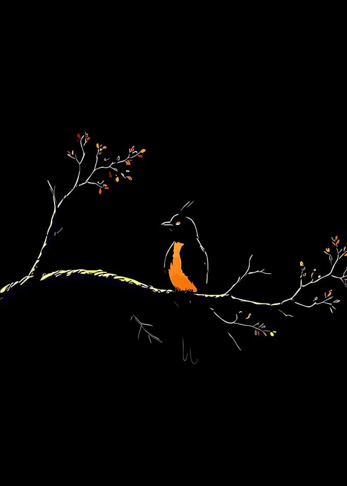 Bird on a branch at night