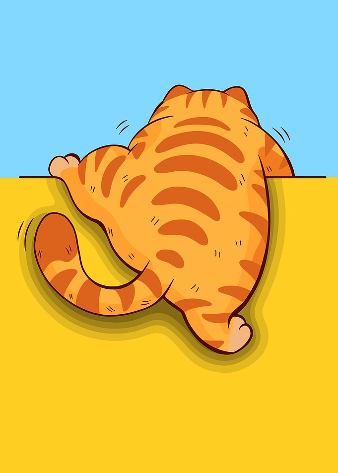 Orange Tabby Cat Climbing