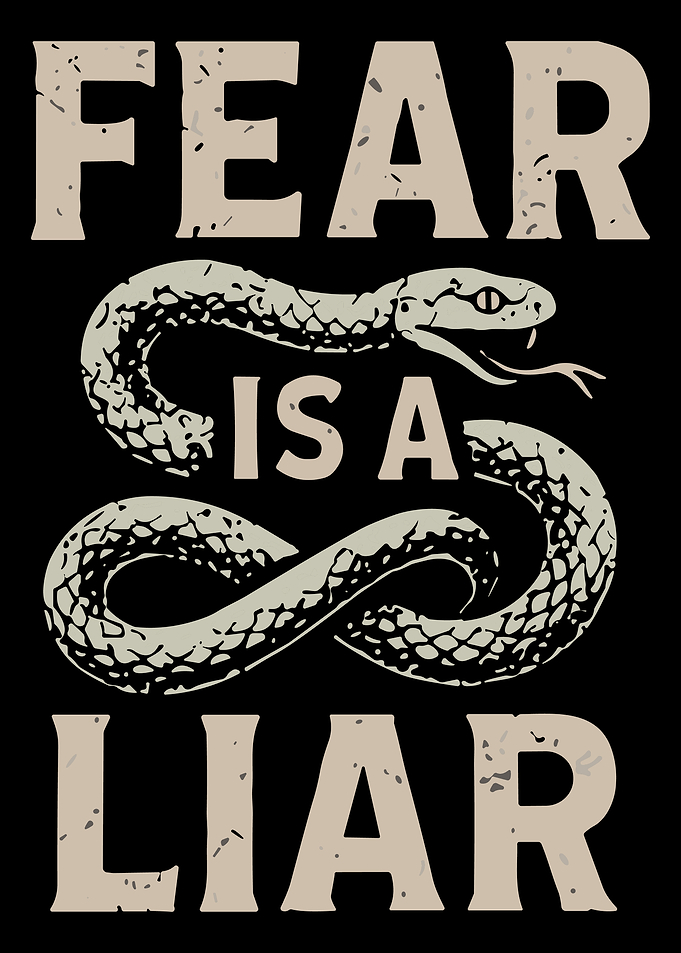 Fear Is a Liar Snake Infinity Poster Motivational Vintage Wall Art