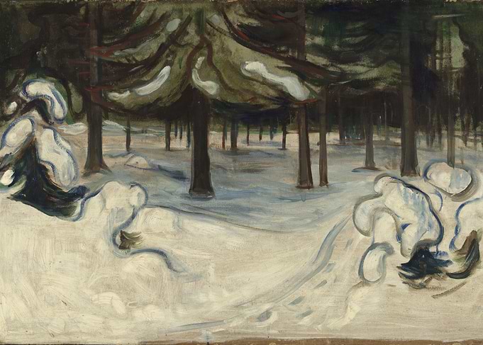Winter Forest Scene