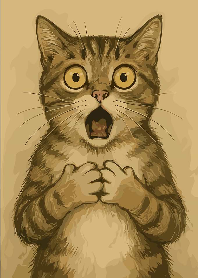 Shocked Cat with Paws Raised