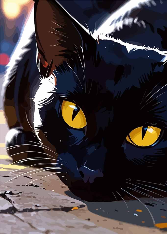 Black Cat with Yellow Eyes