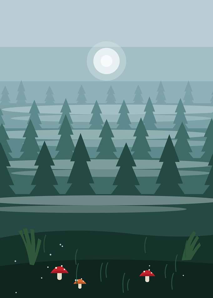 Misty Pines