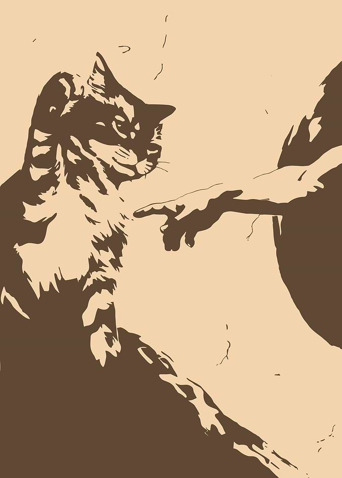 Cat and Hand 'Creation of Adam'