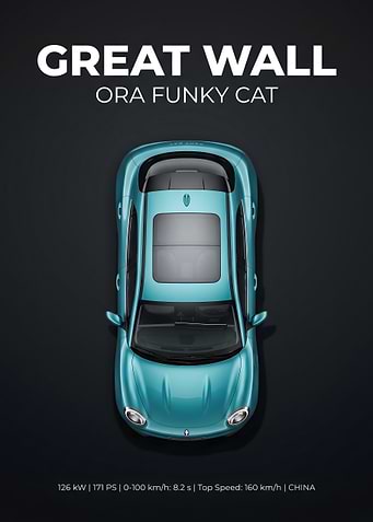 Great Wall Ora Funky Cat Top View