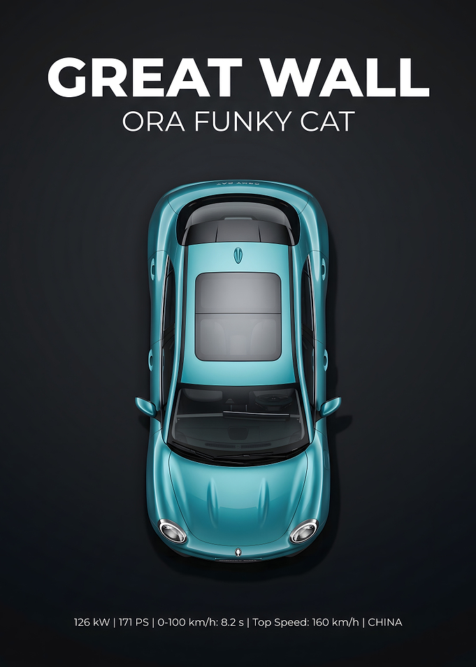 Great Wall Ora Funky Cat Top View