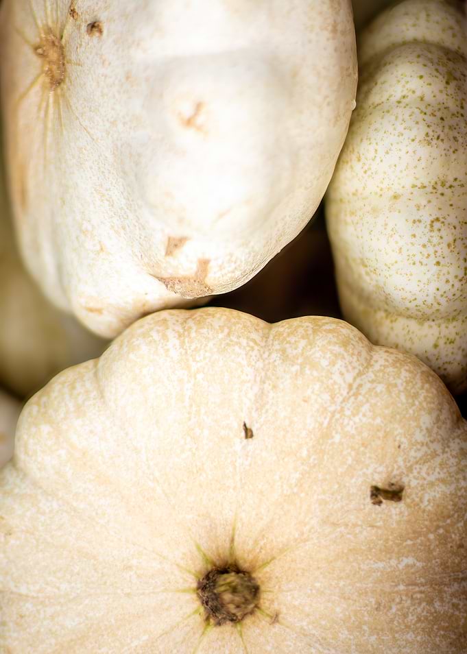 Close-up of White Pattypan Squash
