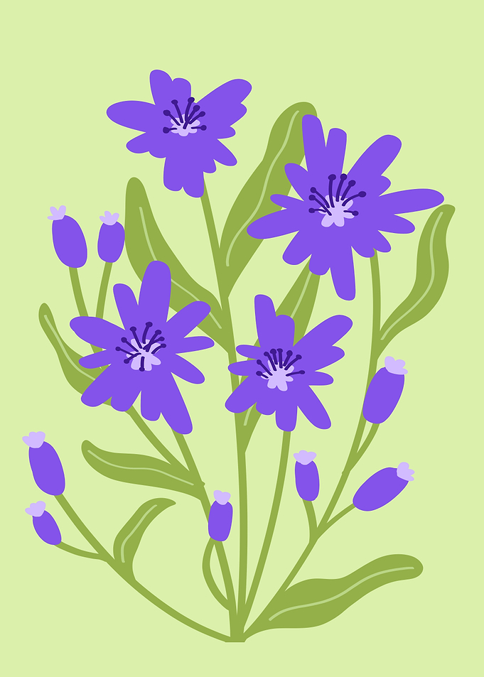 Purple Flowers Botanical