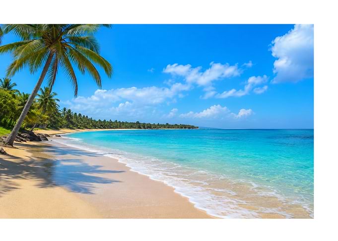 Tropical Beach Paradise