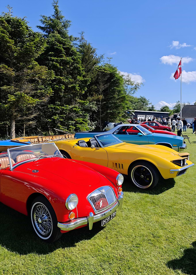 Classic Cars on a Grassy Field in Denmark