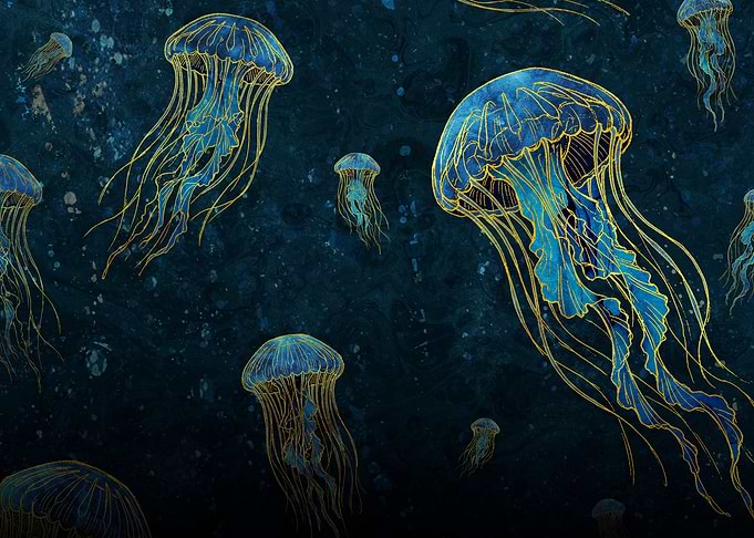 Golden Tide Jellyfish