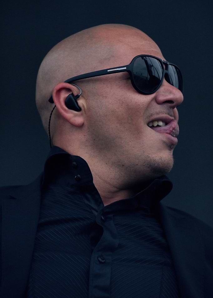Pitbull wearing sunglasses and a suit