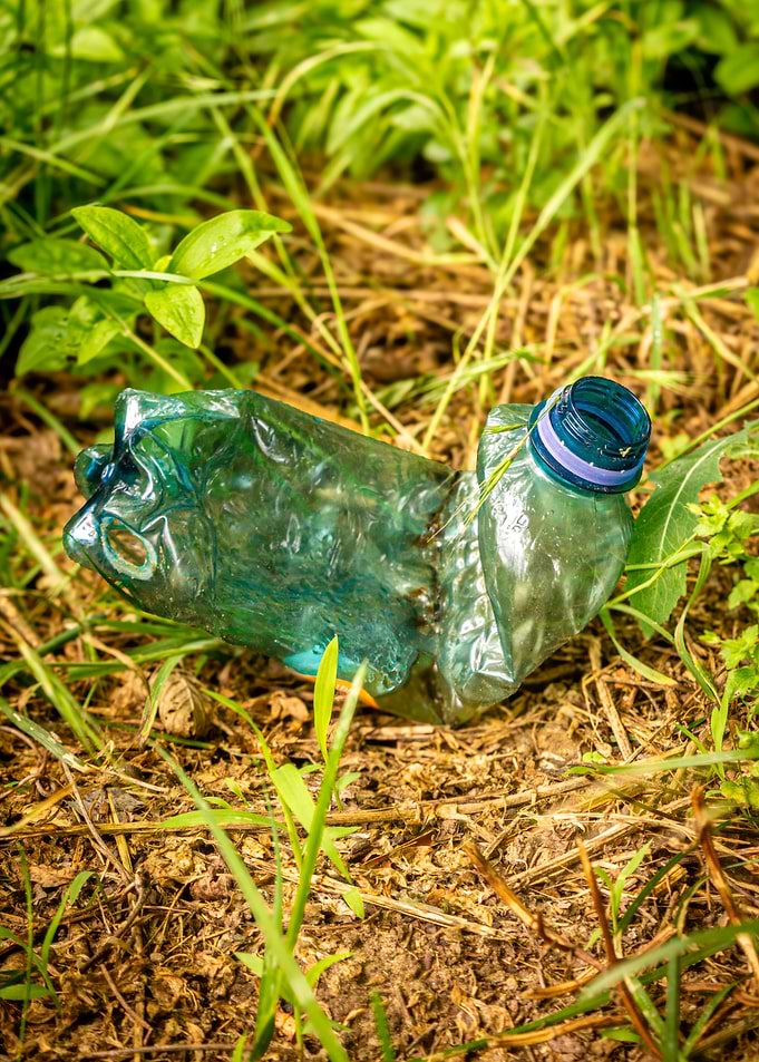 Crushed Plastic Bottle in Nature