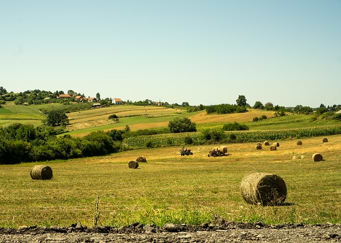 Balkan Rural Nostalgic