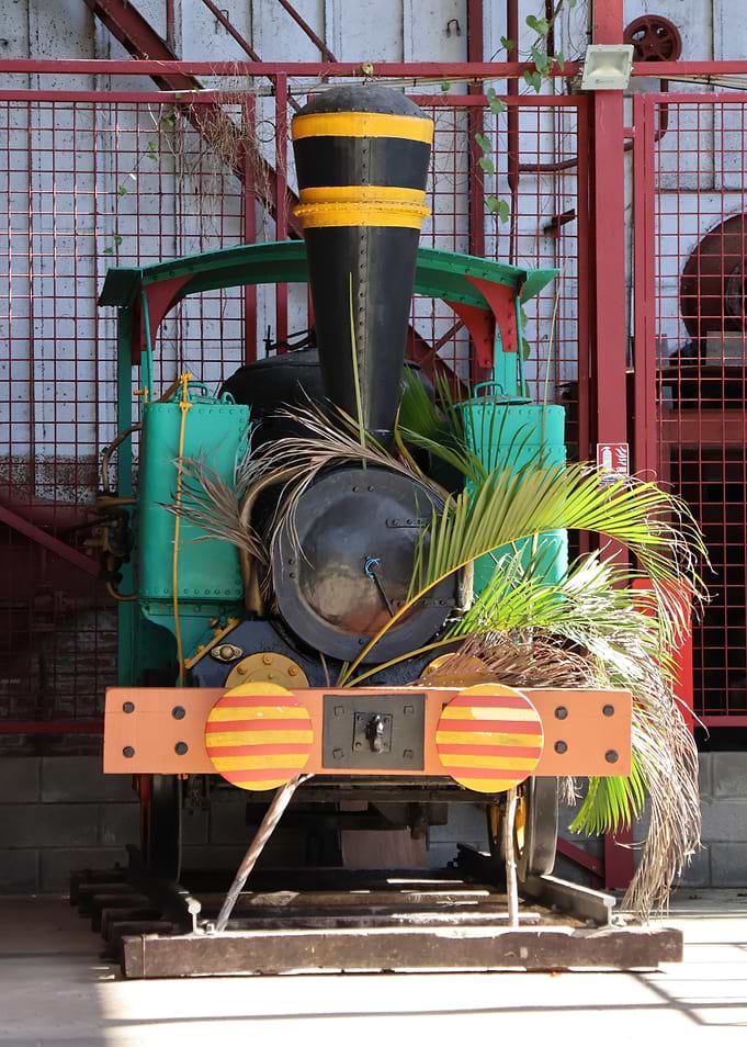Vintage Train with Tropical Foliage