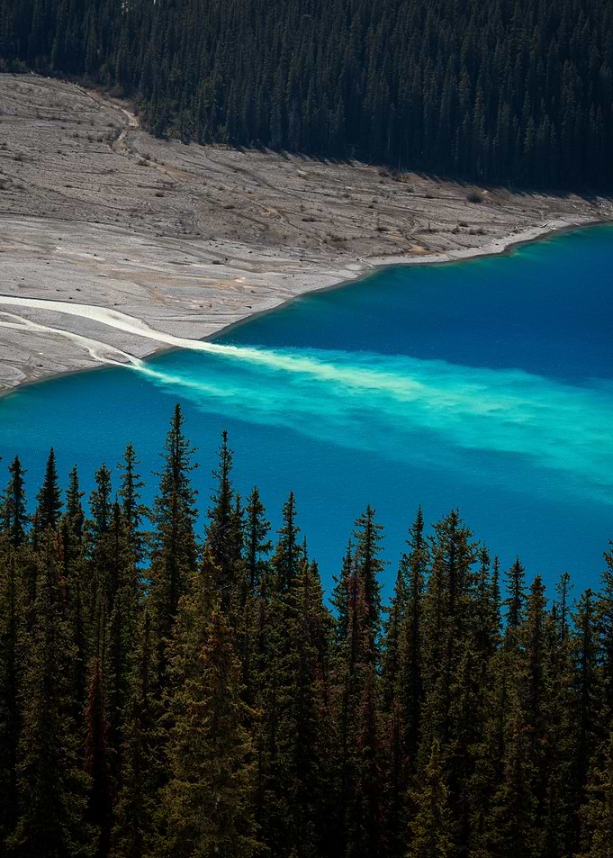 Turquoise Water Meets Forested Shoreline
