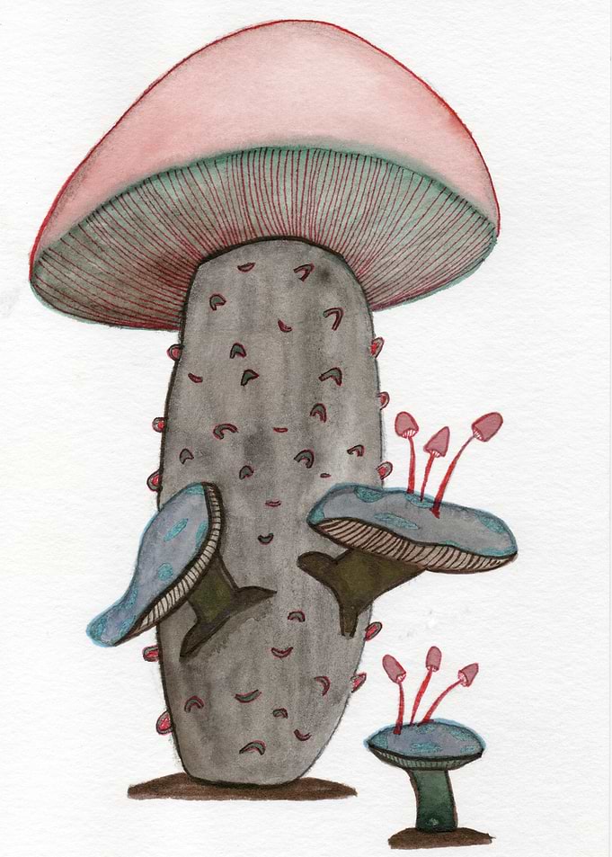 Whimsical Watercolor Mushroom Illustration