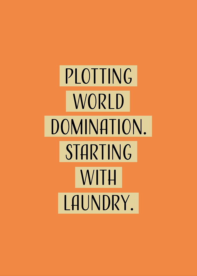 Plotting World Domination Laundry