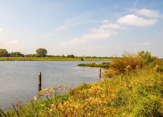 Riverbank with Reeds and Blue Sky