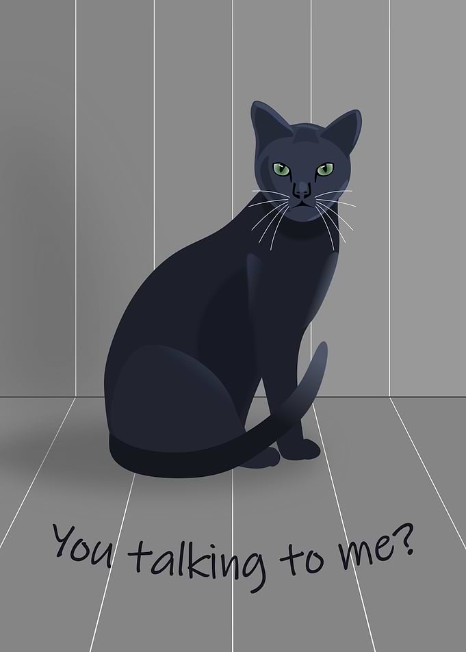 Black Cat 'You Talking to Me?'