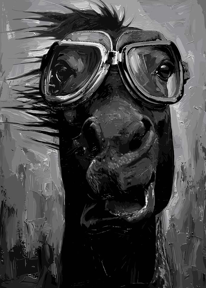 Horse Wearing Goggles