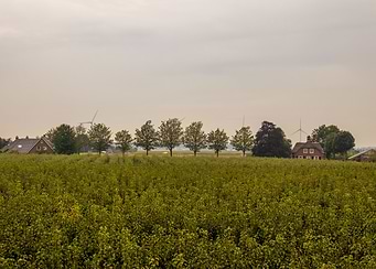 Rural landscape with houses and trees