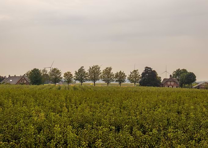 Rural landscape with houses and trees
