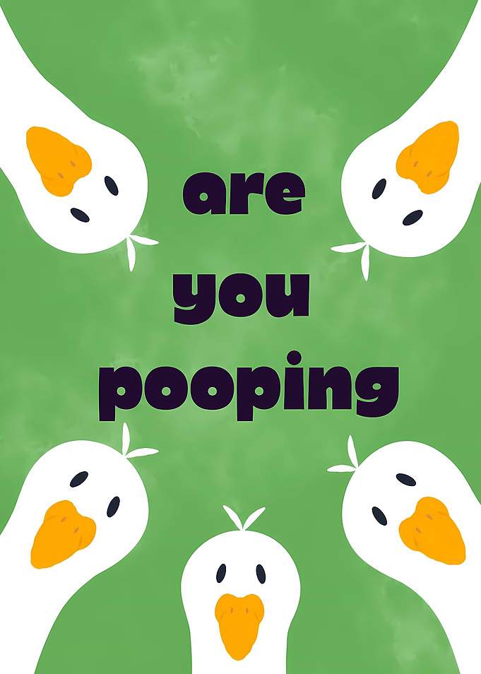 Funny Goose Meme