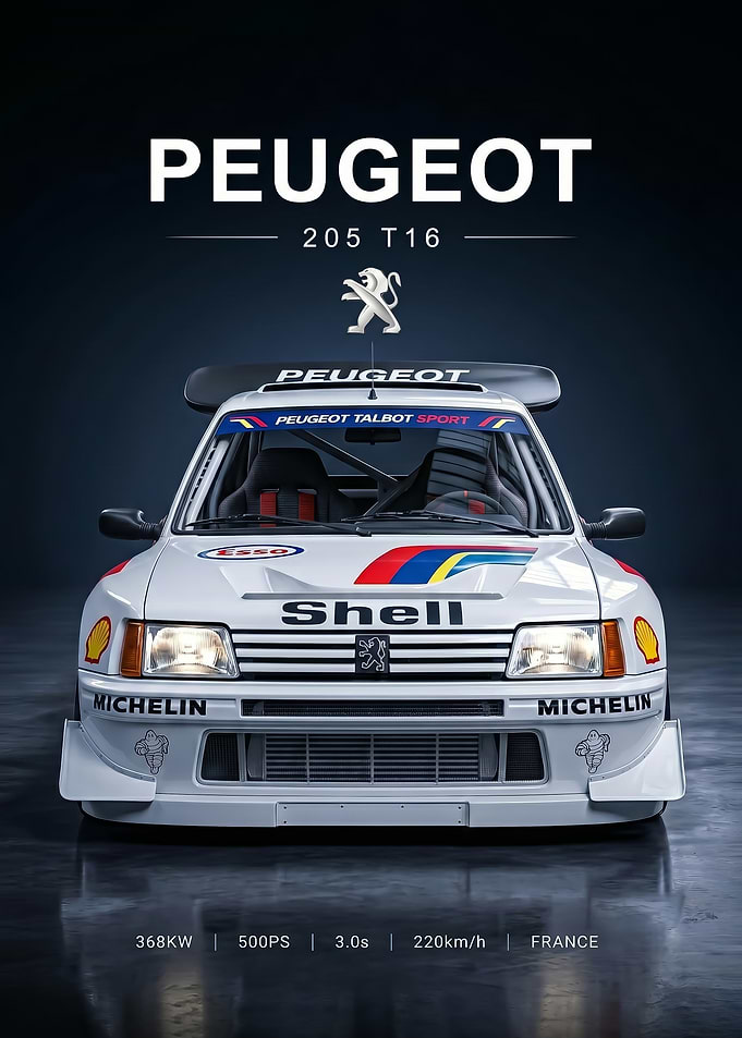Rally Car Peugeot 205 T16 sleek white poster