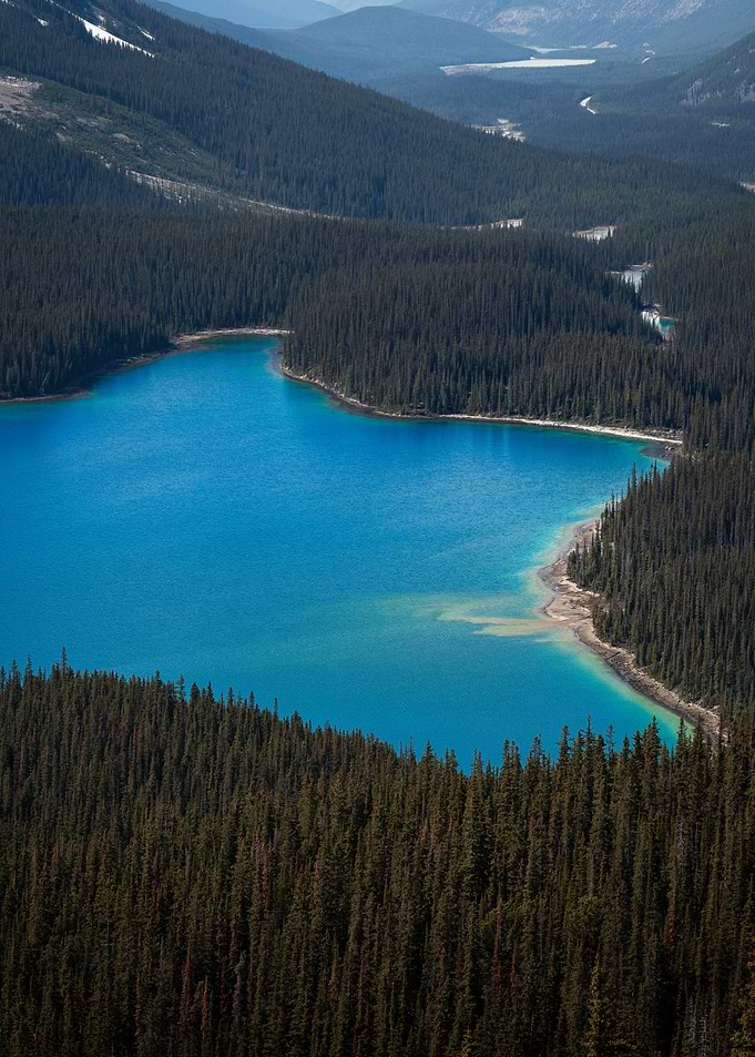 Vibrant Blue Lake Surrounded by Pine Forest