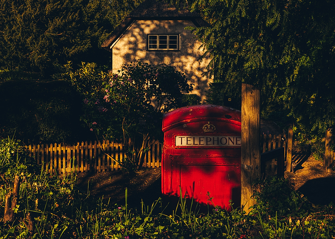 Red Telephone Box and Cat in a Garden