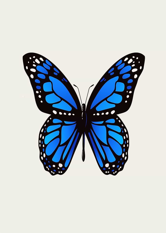 Vibrant Blue Butterfly Illustration