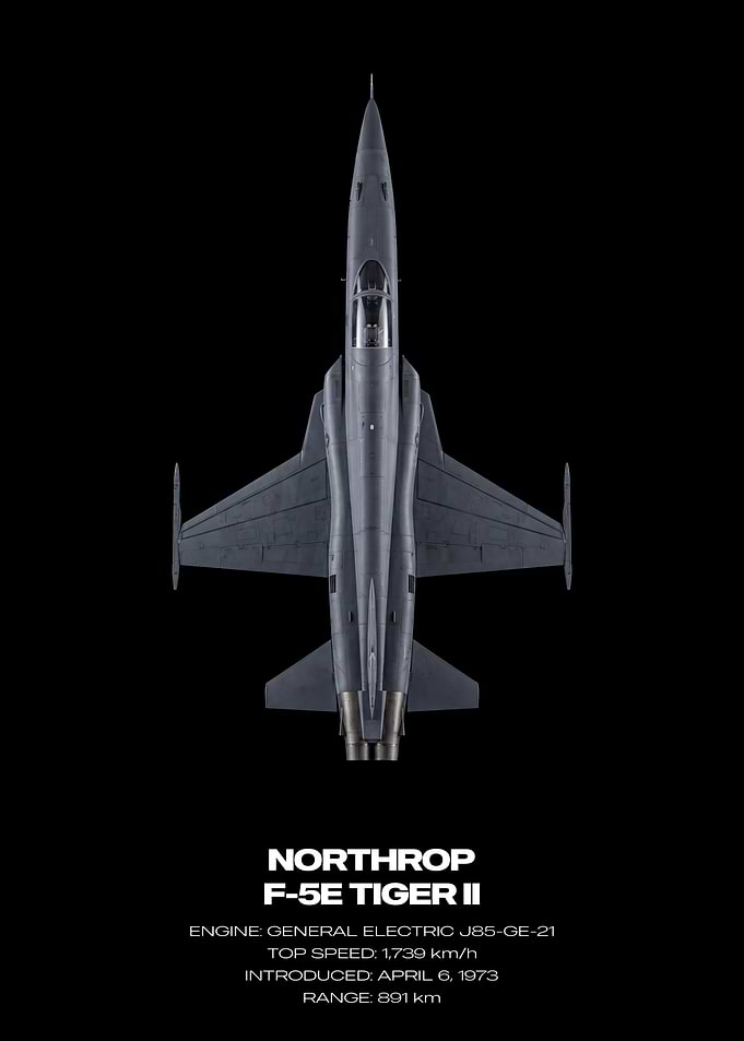 Northrop F-5E Tiger II Jet