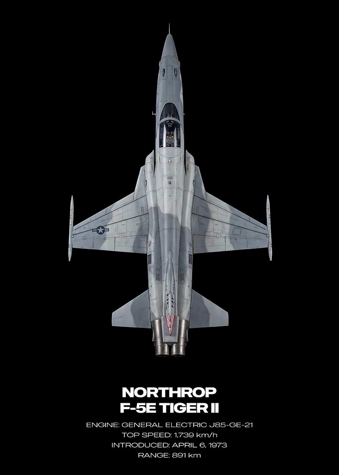 Northrop F-5E Tiger II Jet