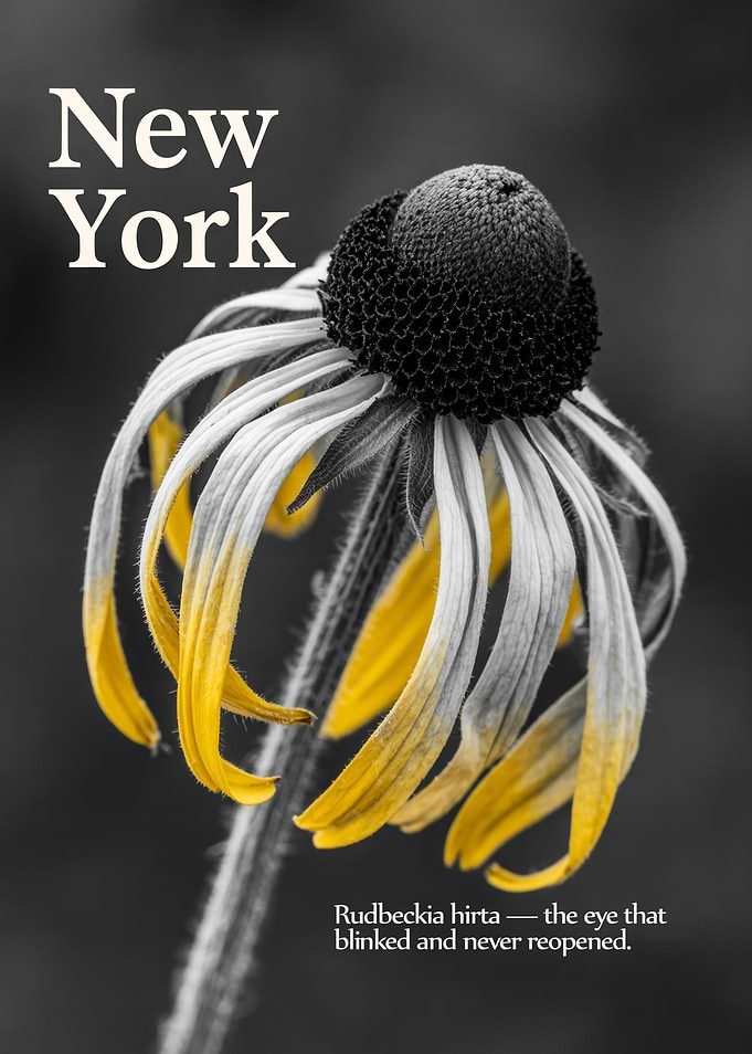 New York Botanical Flower