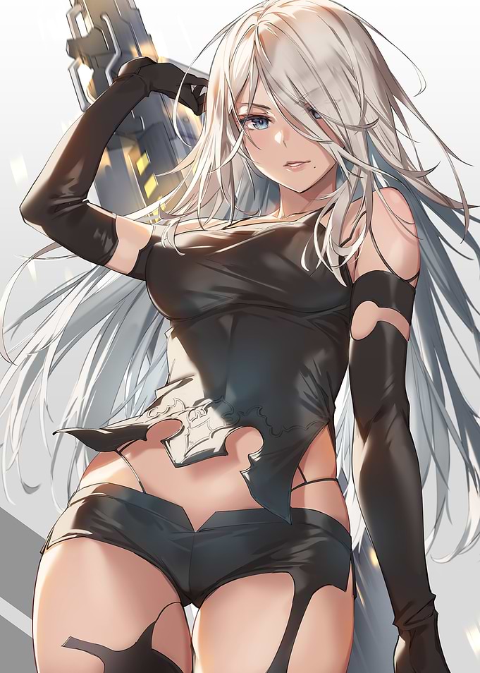 Nier Automata 2A