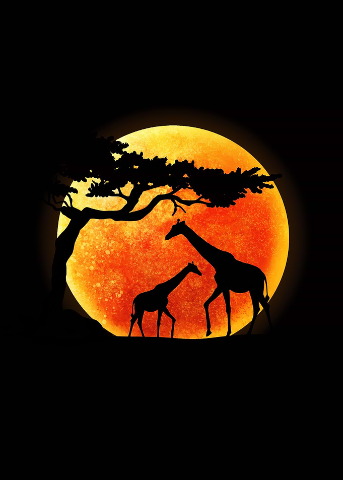 Giraffes silhouetted against a large orange moon