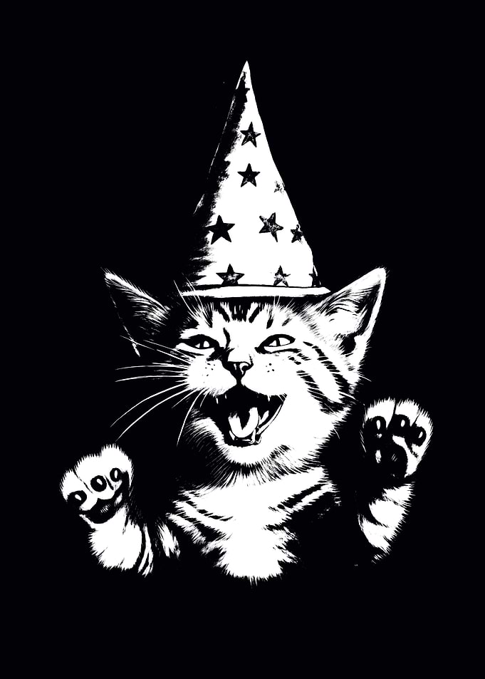 Wizard Cat