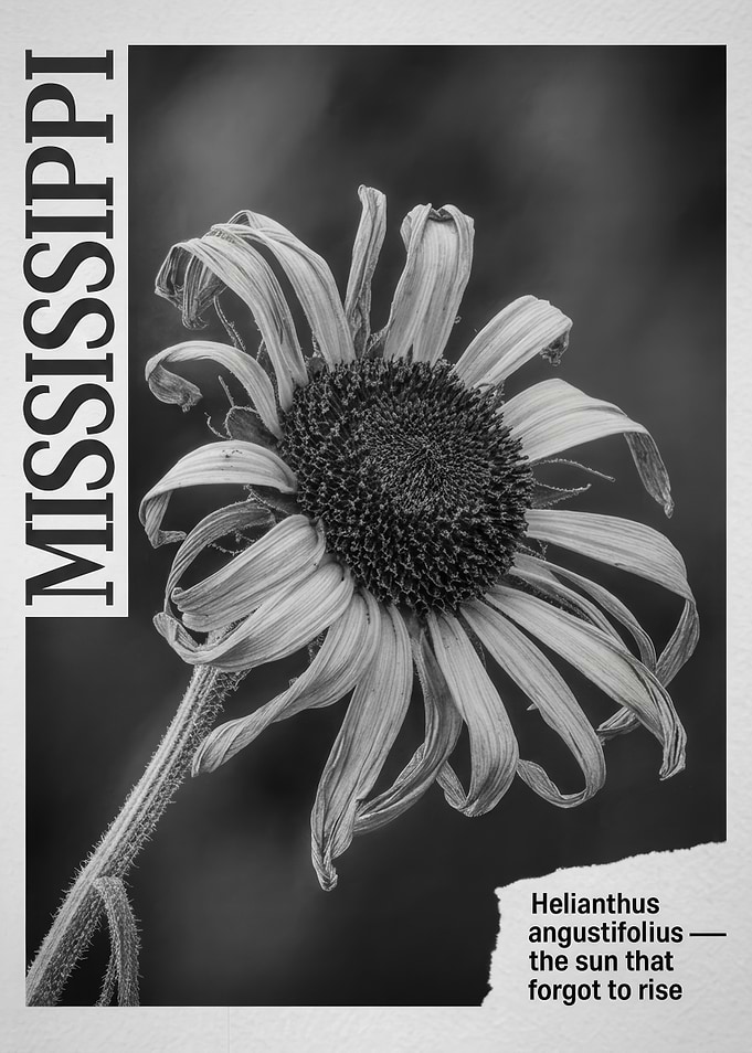 Botanical Sunflower with Text