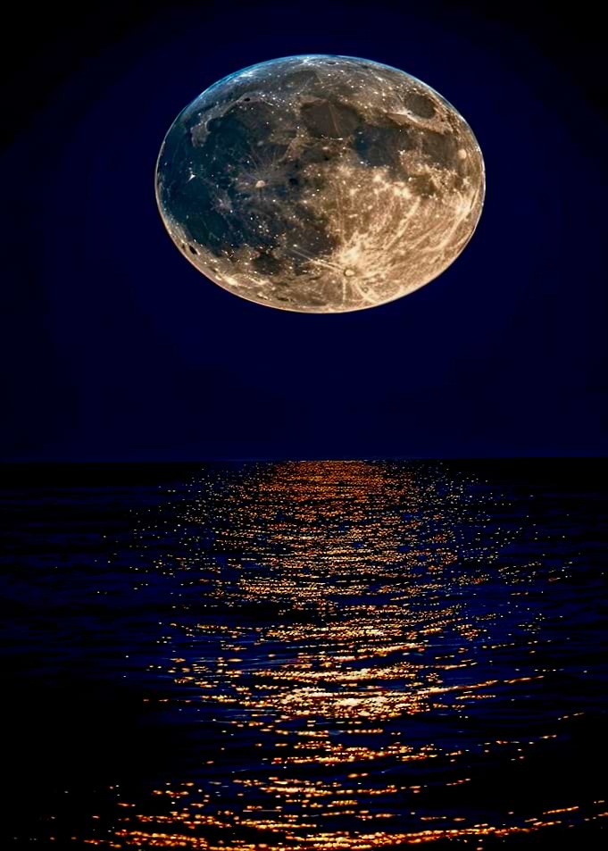 Moonlit Ocean Reflection